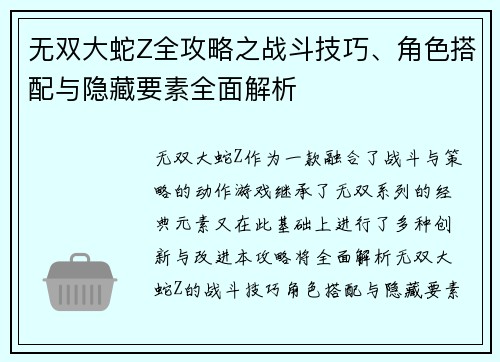 无双大蛇Z全攻略之战斗技巧、角色搭配与隐藏要素全面解析