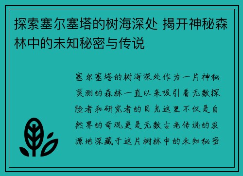 探索塞尔塞塔的树海深处 揭开神秘森林中的未知秘密与传说